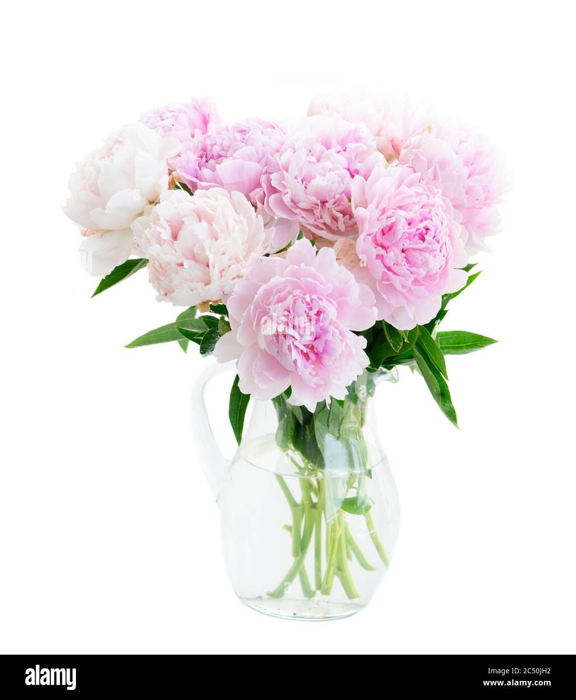 Fresh peony flowers Stock Photo Alamy