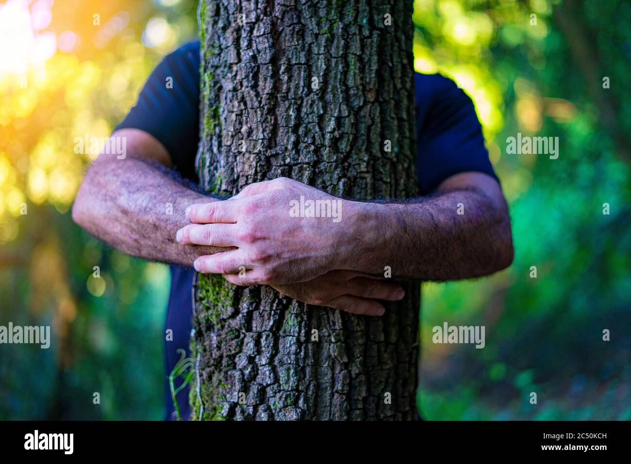 Man hugging a tree in the forest. Eco-friendly concept. Against deforestation. Taking care of forests. Stock Photo