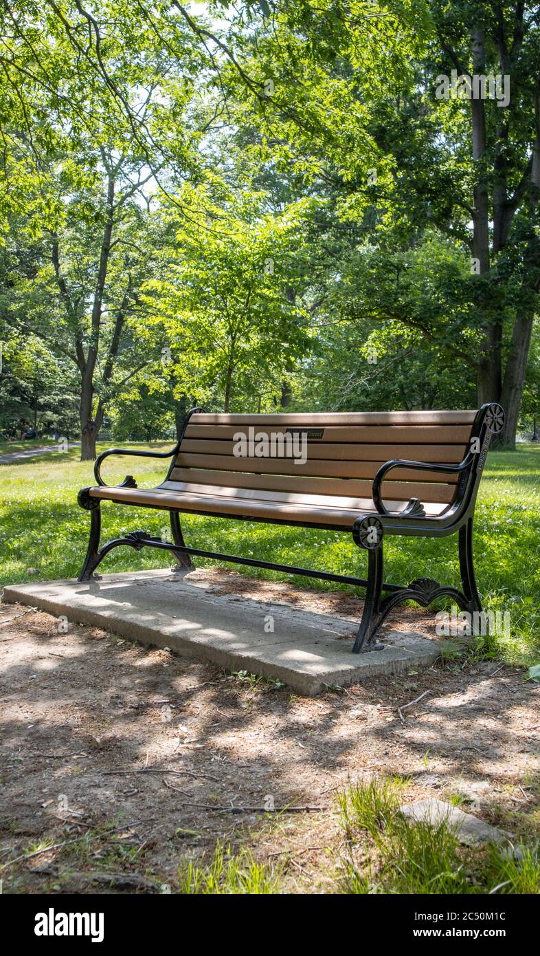 A portrait shot of a local park bench in Roger Williams Carousel Village & Park. Stock Photo