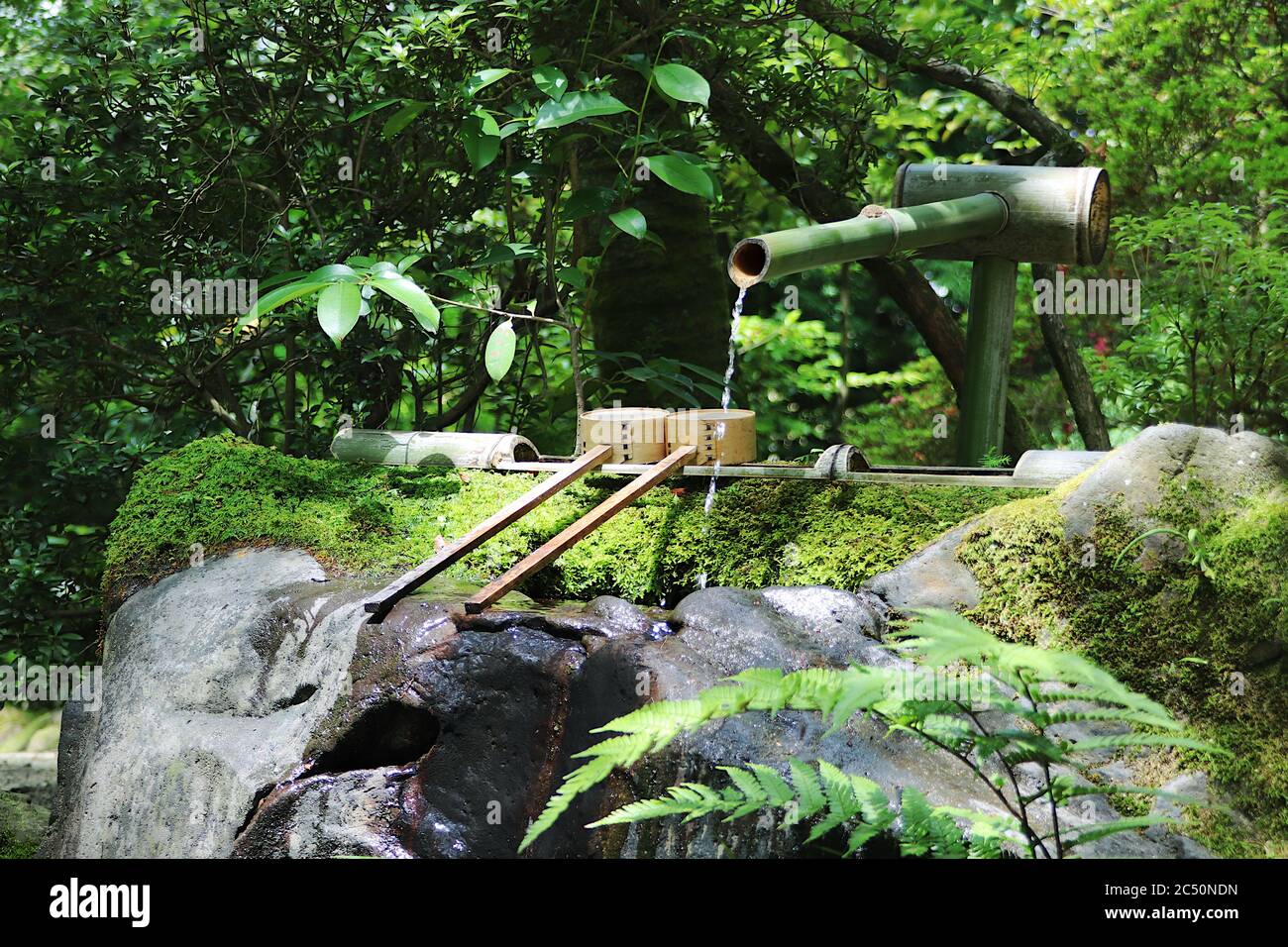 Traditional Japanese fountain made of bamboo in fresh garden Stock Photo Alamy