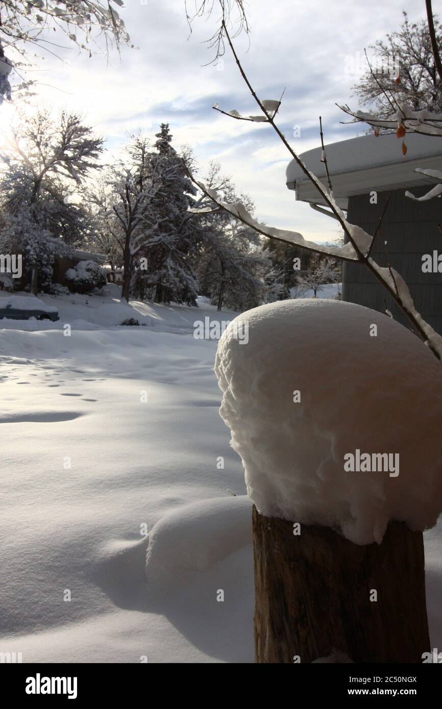 Major 12 inch powered fluffy light snow storm in Littleton Colorado