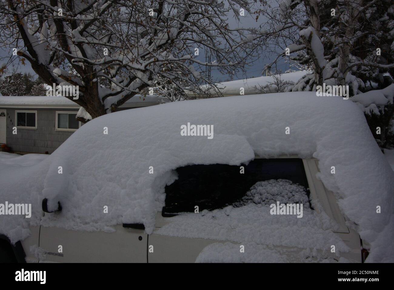 Major 12 inch powered fluffy light snow storm in Littleton Colorado