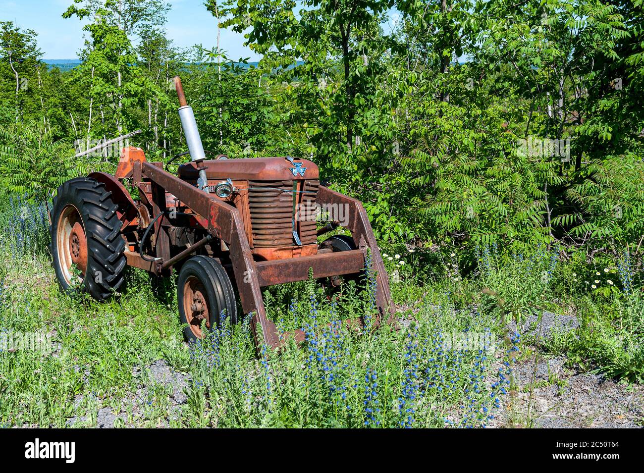 Vintage Massey Ferguson 50 tractor Stock Photo