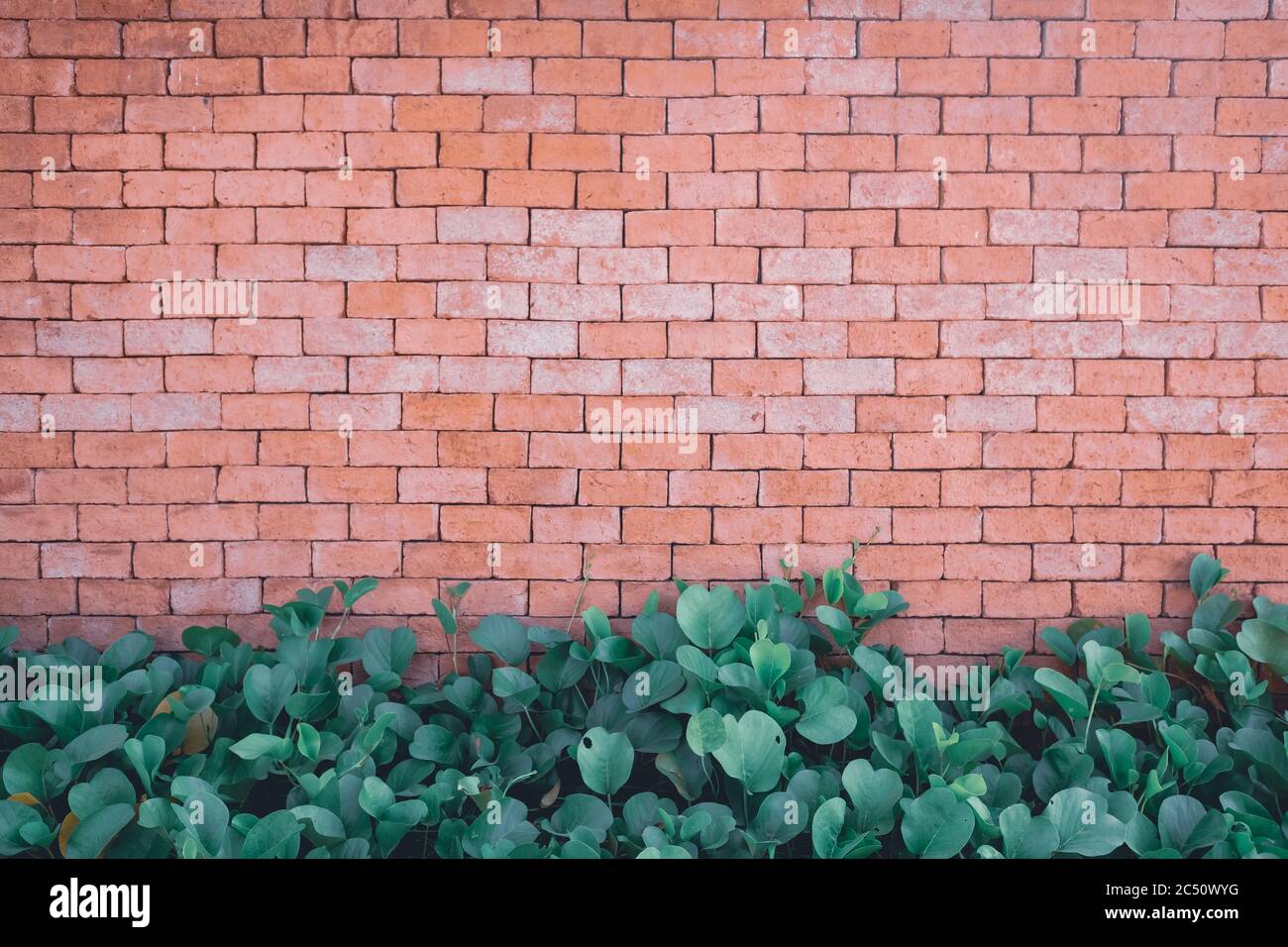 Old grunge orange brick background texture Stock Photo - Alamy
