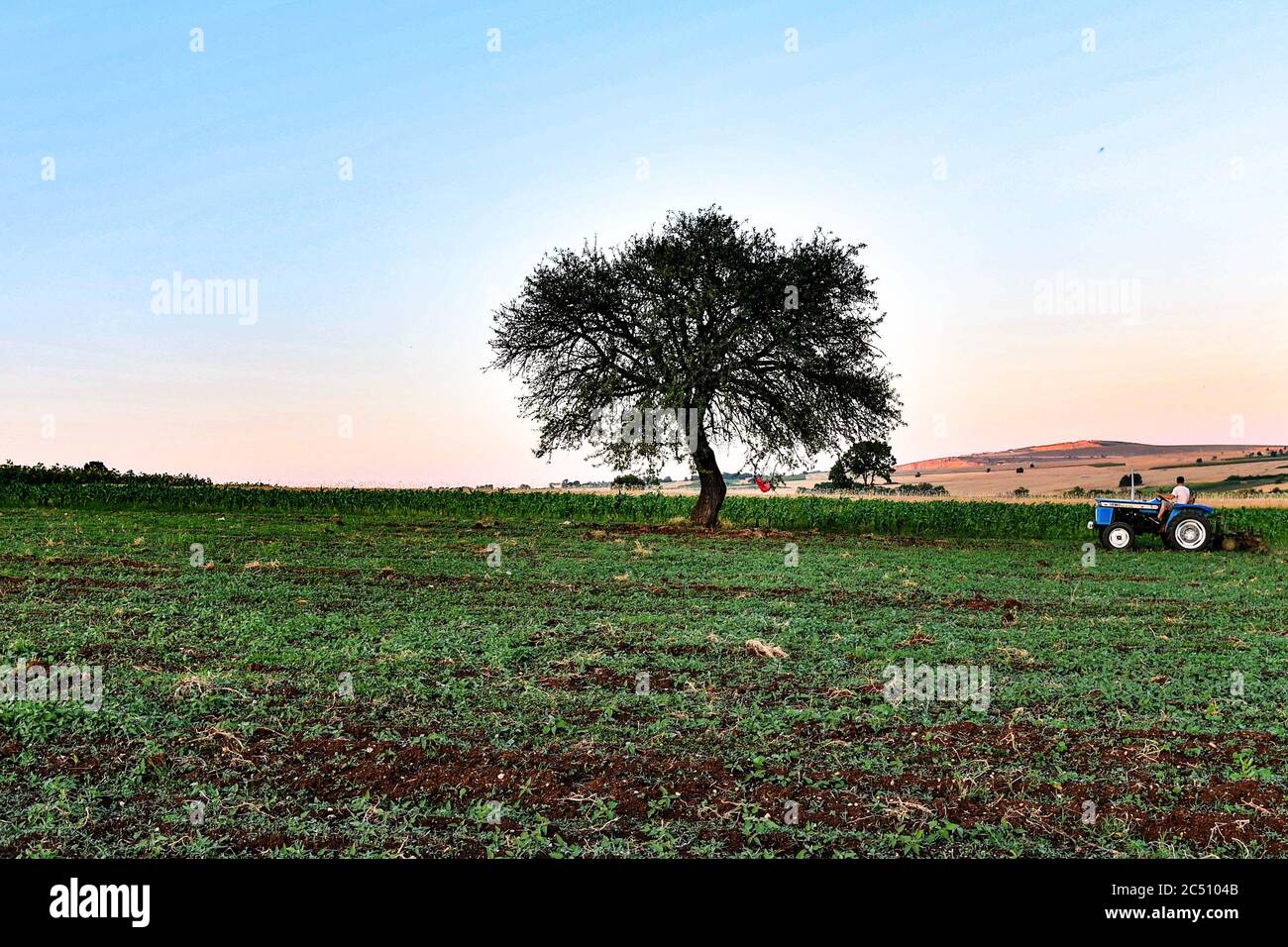 Kumanovo, North Macedonia. 29th June, 2020. A farmer plows a field at a village near Kumanovo, North Macedonia, on June 29, 2020. A heat wave hit North Macedonia on Monday and the temperature reached 38 degrees Celsius. Credit: Tomislav Georgiev/Xinhua/Alamy Live News Stock Photo