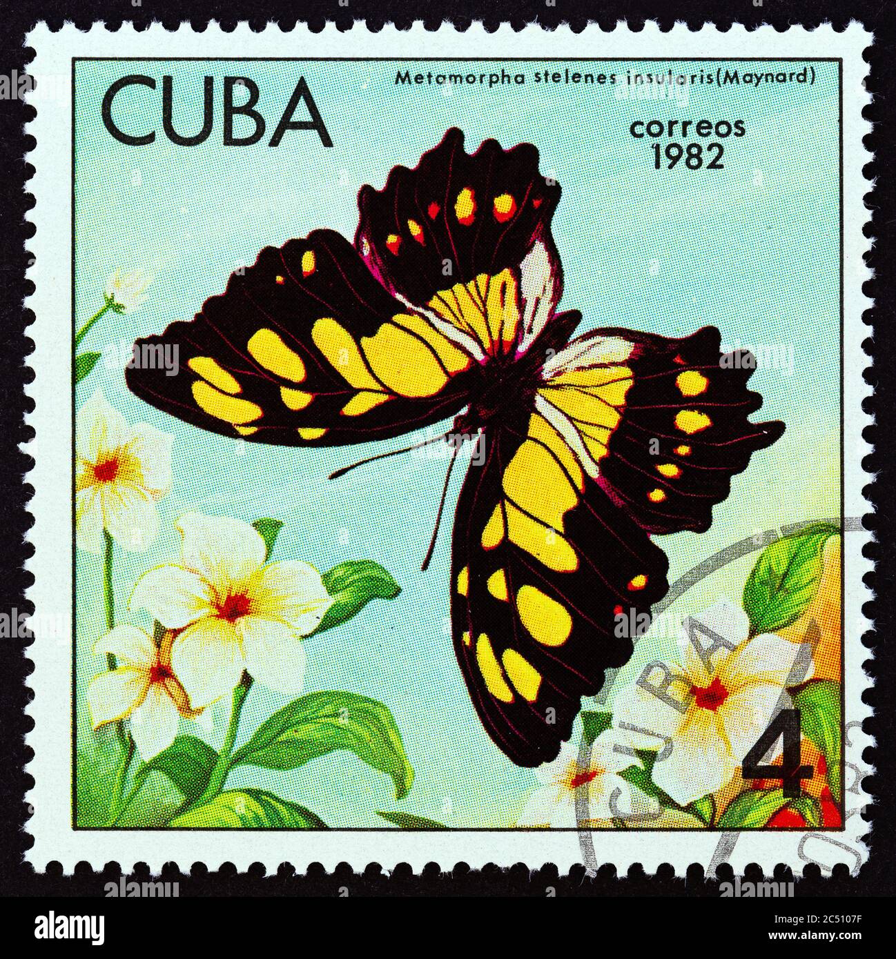 CUBA - CIRCA 1982: A stamp printed in Cuba from the 'Butterflies' issue shows Malachite (Metamorpha stelenes insularis), circa 1982. Stock Photo