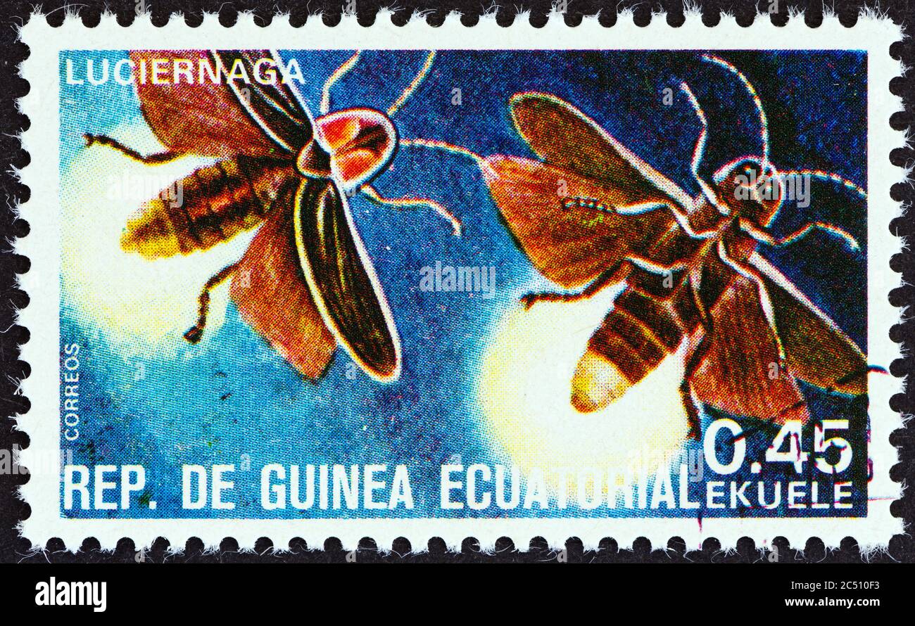 EQUATORIAL GUINEA - CIRCA 1978: A stamp printed in Equatorial Guinea from the 'Insects' issue shows Lampyridae, circa 1978. Stock Photo