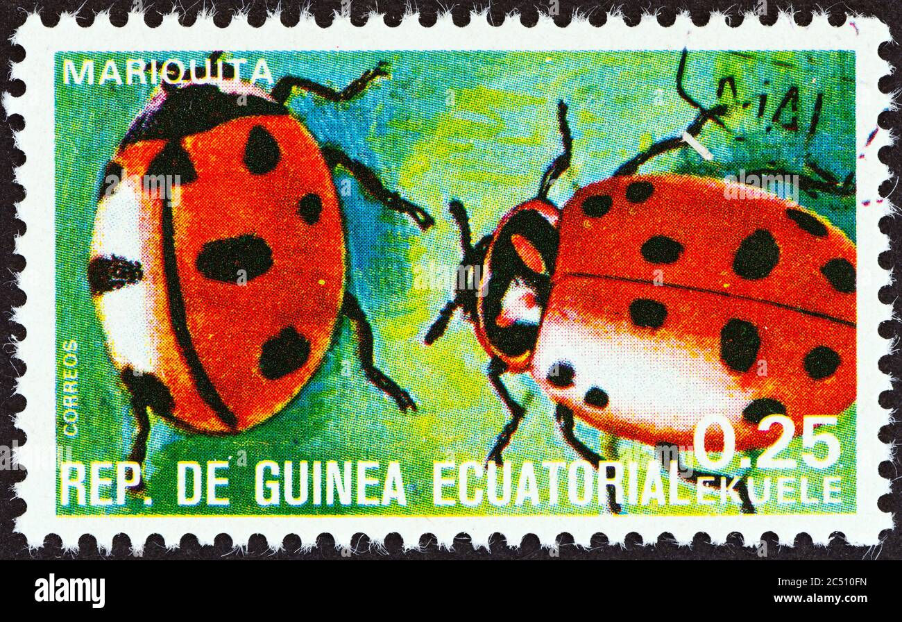EQUATORIAL GUINEA - CIRCA 1978: A stamp printed in Equatorial Guinea from the 'Insects' issue shows Coccinellidae, circa 1978. Stock Photo