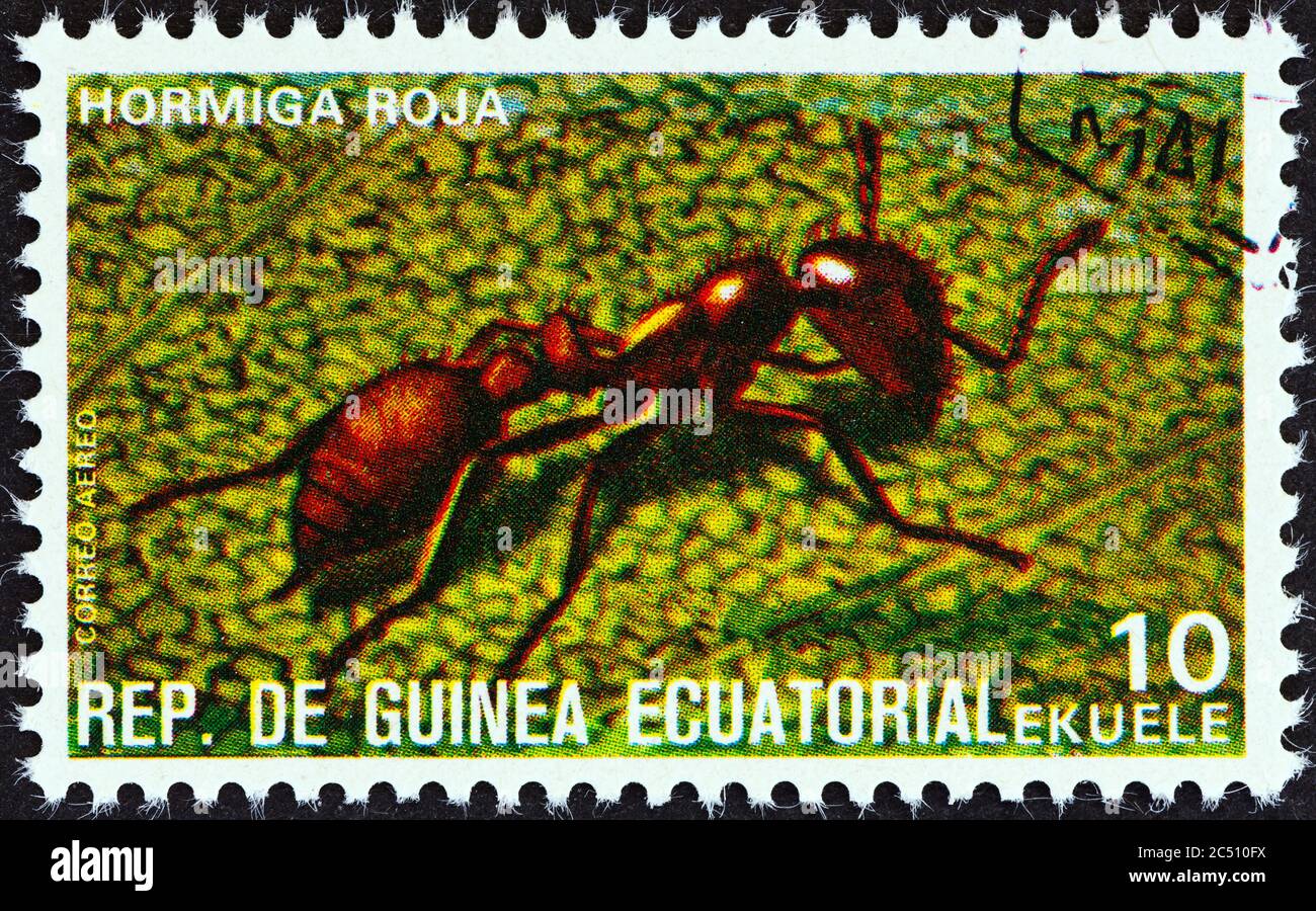 EQUATORIAL GUINEA - CIRCA 1978: A stamp printed in Equatorial Guinea from the 'Insects' issue shows Solenopsis, circa 1978. Stock Photo