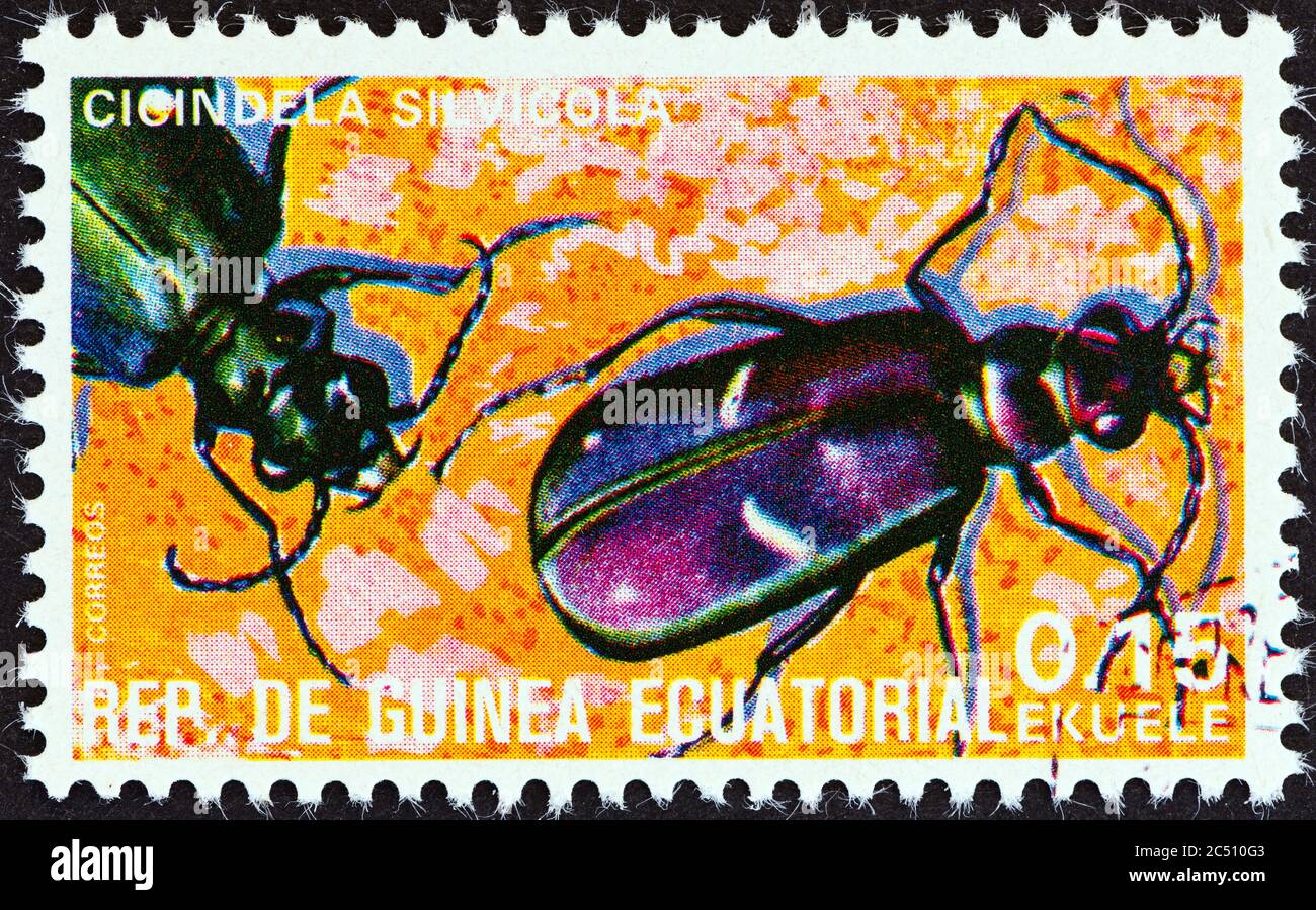 EQUATORIAL GUINEA - CIRCA 1978: A stamp printed in Equatorial Guinea from the 'Insects' issue shows Cicindela silvicola, circa 1978. Stock Photo