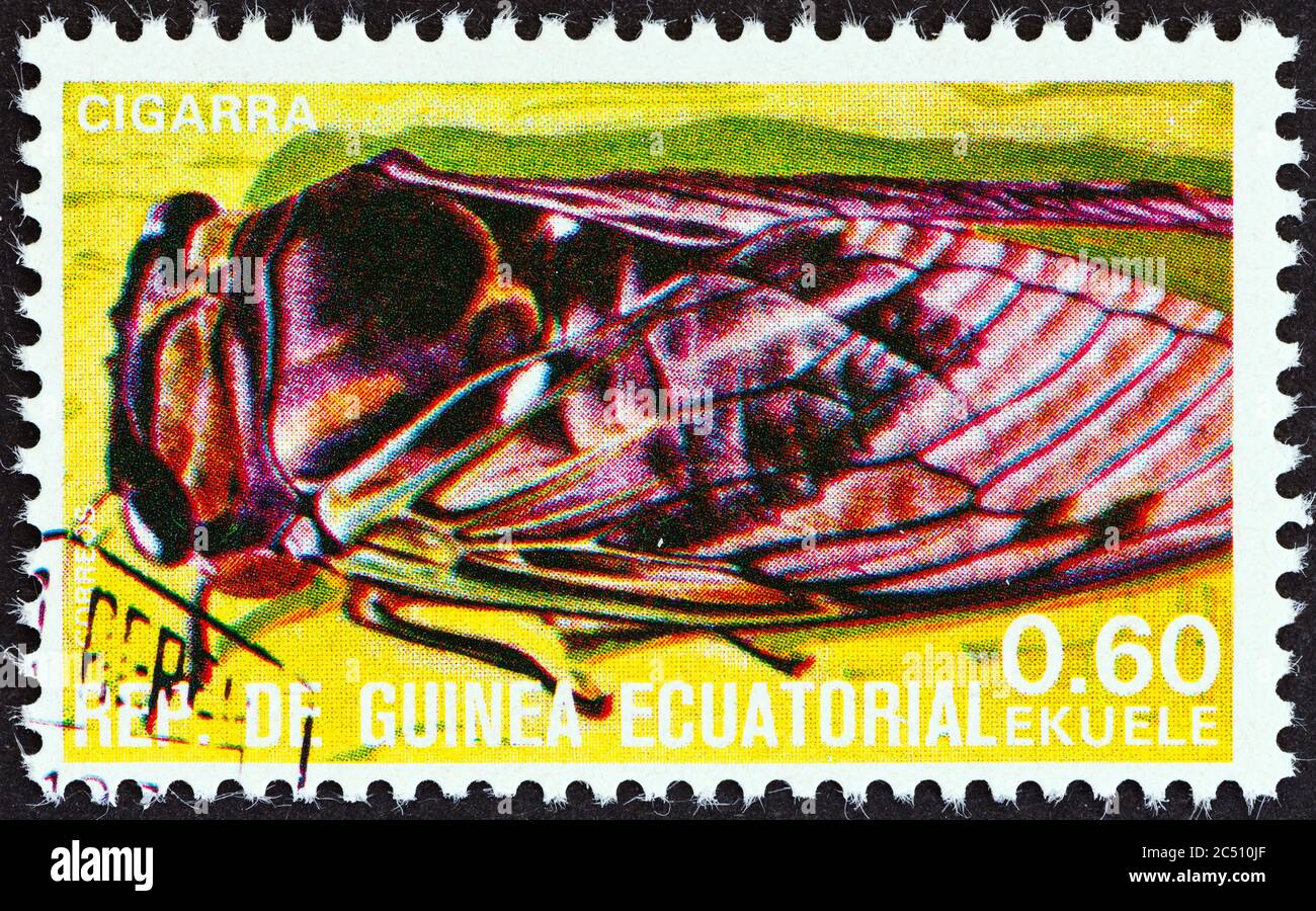 EQUATORIAL GUINEA - CIRCA 1978: A stamp printed in Equatorial Guinea from the 'Insects' issue shows Cicadidae, circa 1978. Stock Photo