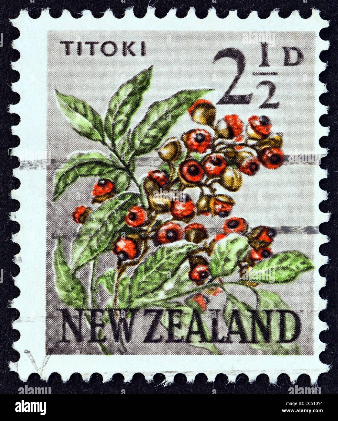 NEW ZEALAND - CIRCA 1960: A stamp printed in New Zealand shows Titoki (Alectryon excelsum), circa 1960. Stock Photo