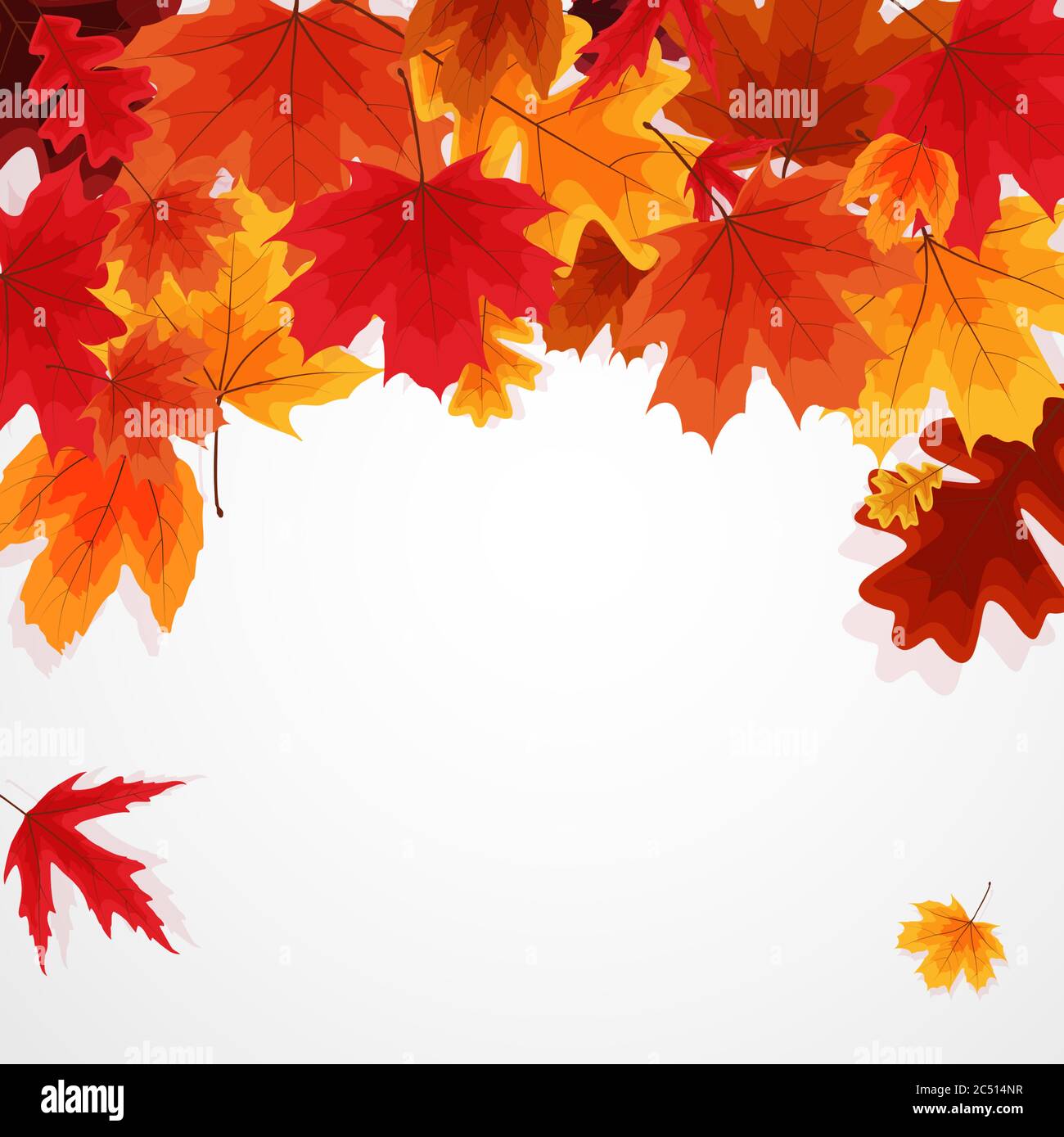 Shiny Autumn Leaves Banner Background. Vector Illustration Stock Vector ...
