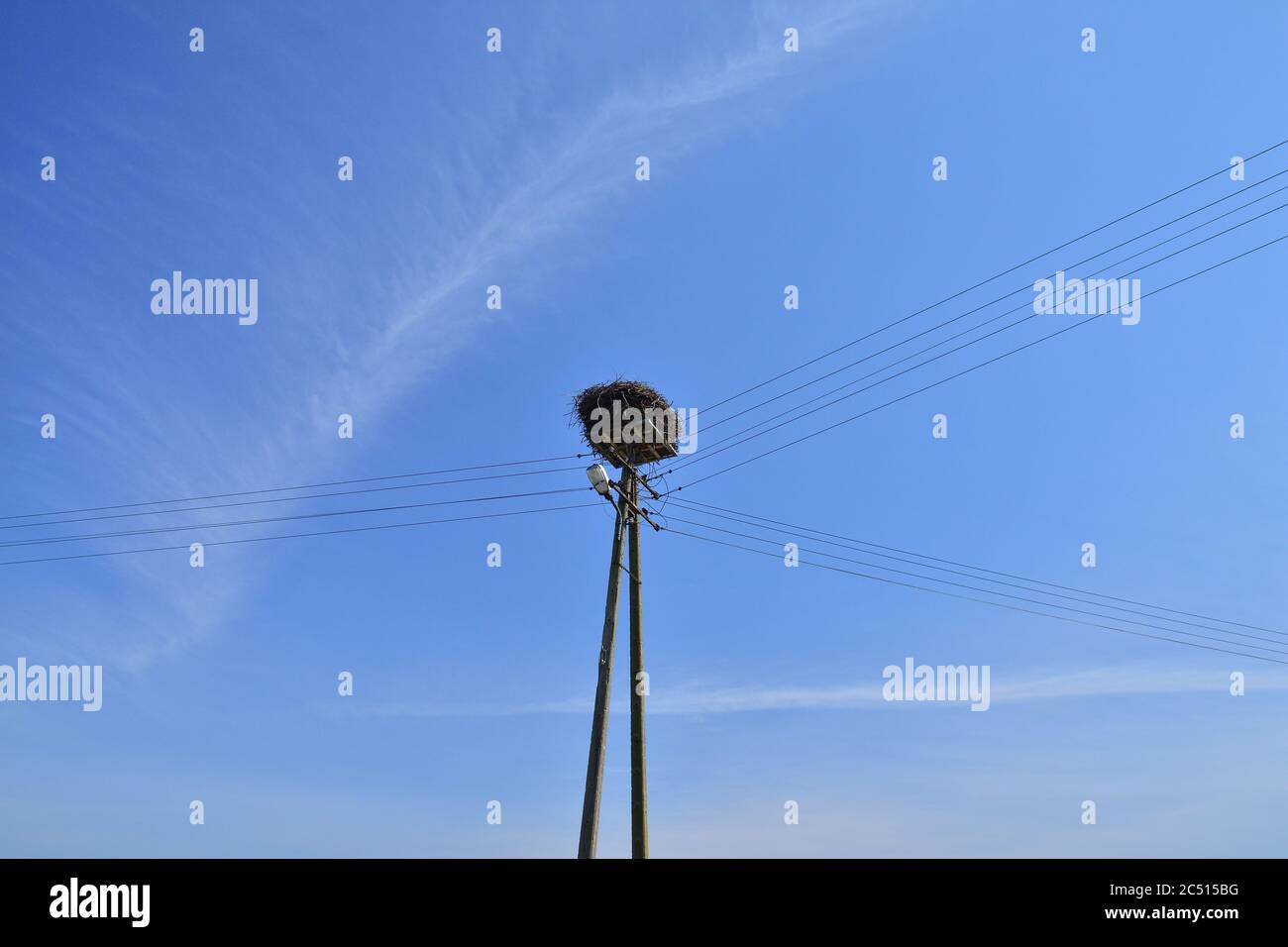 Stork nest on an electric pole against the sky. Sunny day. Stock Photo