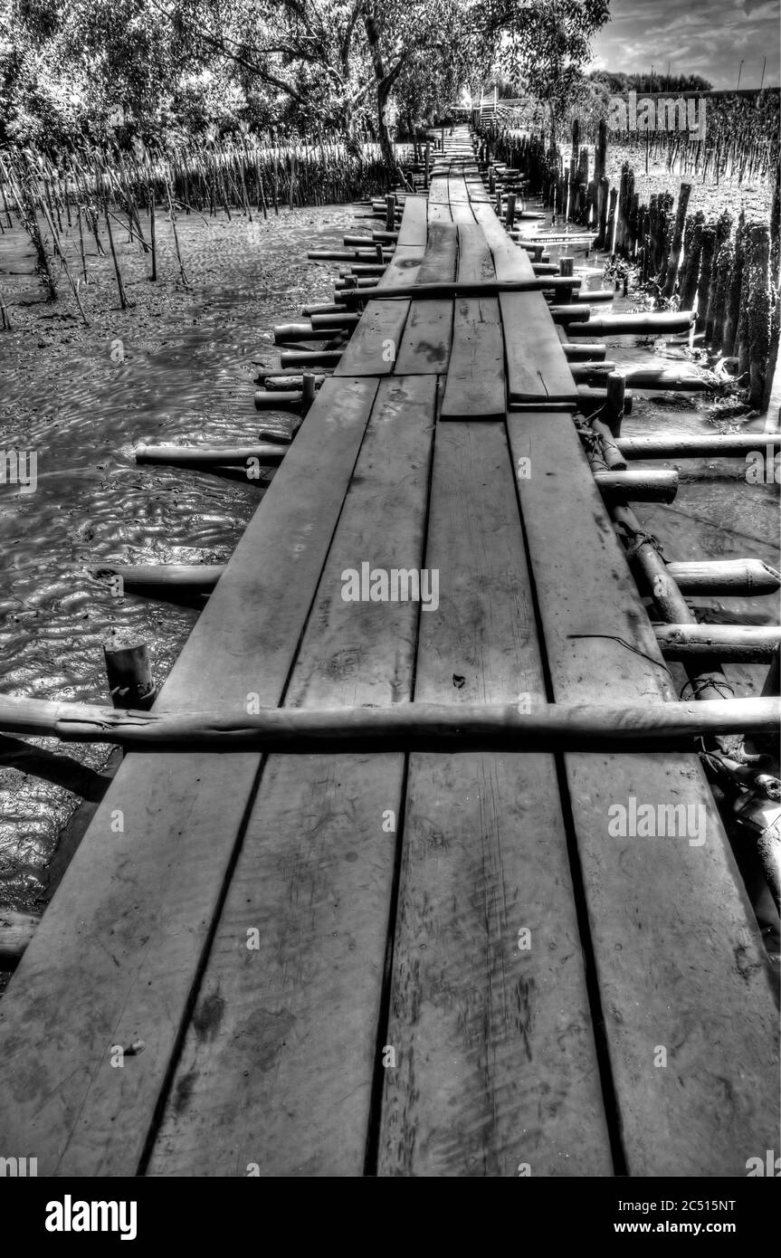 Long Wooden Pathway on Mudflats (in monochrome) Stock Photo