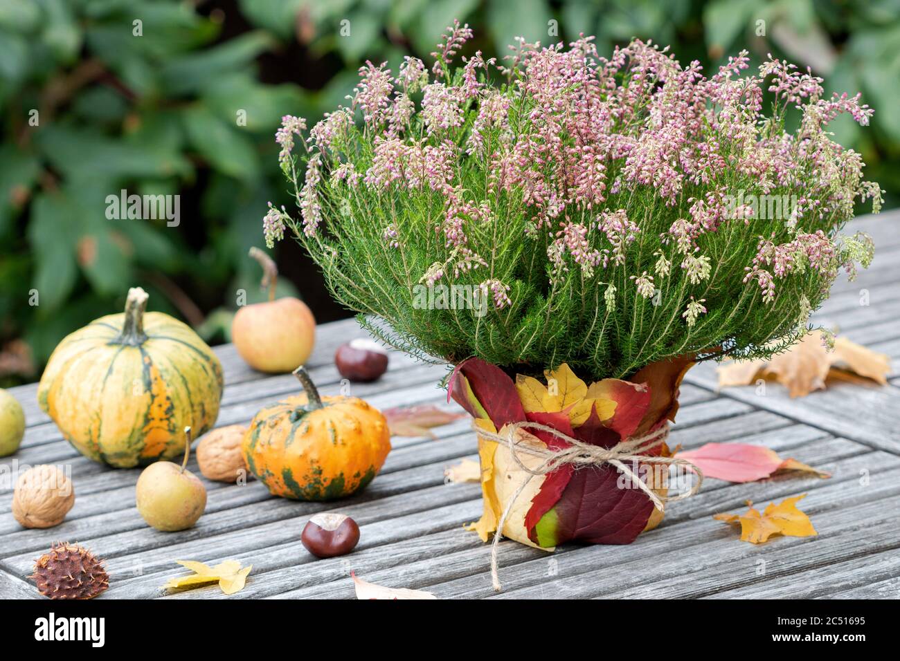 heather flower in pot from leaves as autumn decoration Stock Photo