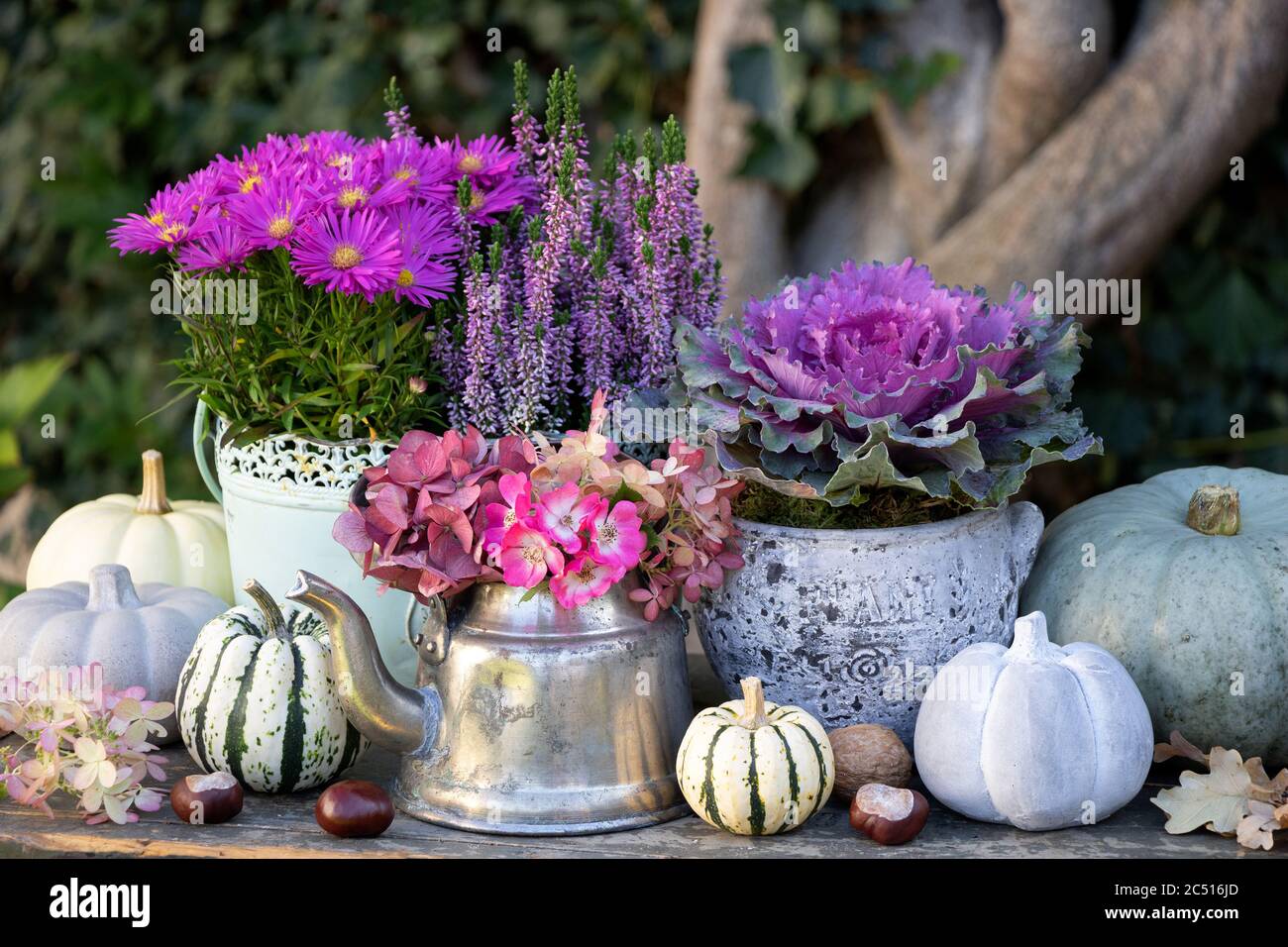 vintage garden decoration with autumn flowers in purple and pumpkins Stock Photo