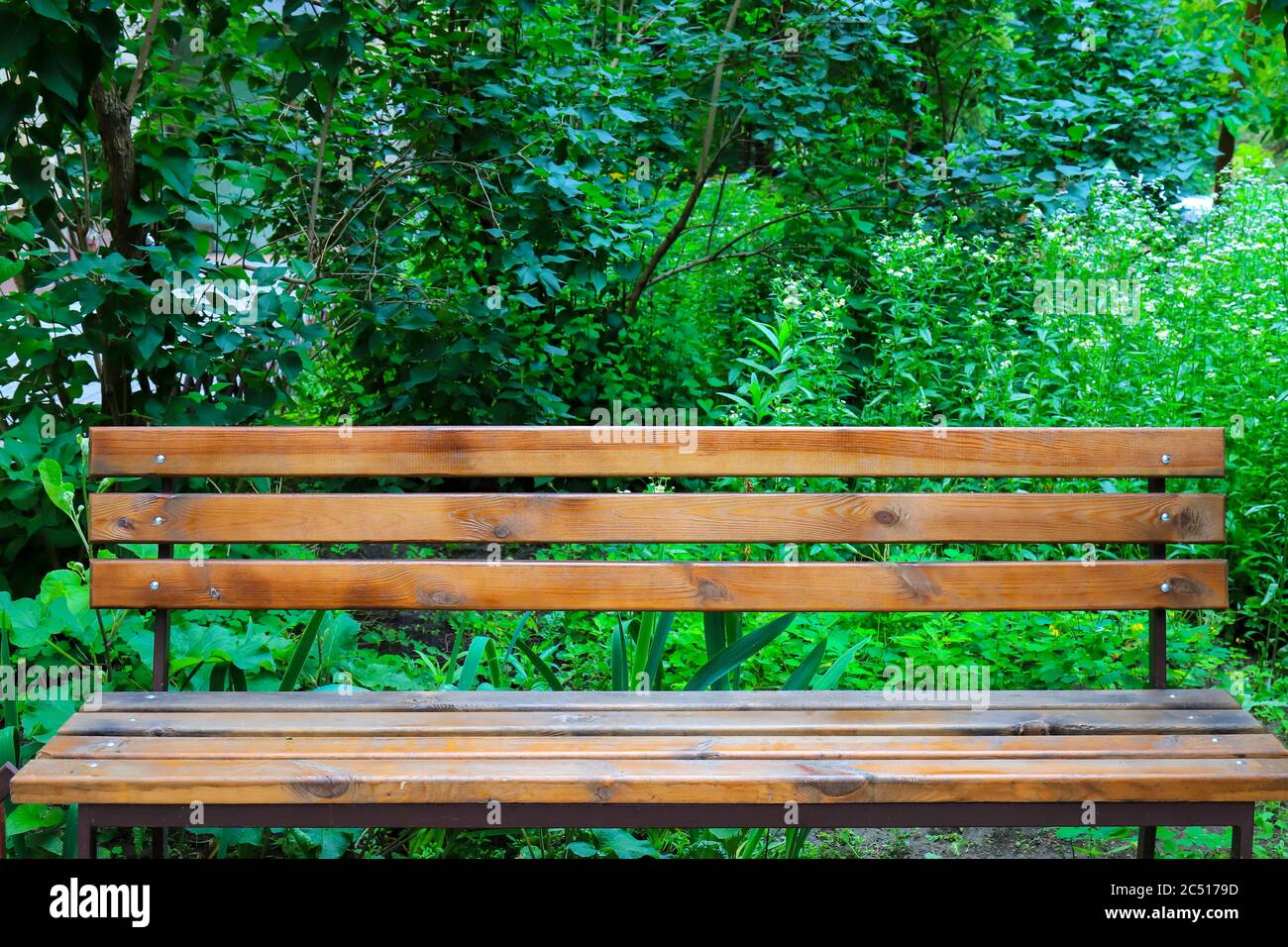 An empty brown wooden bench stands in a park on a background of green