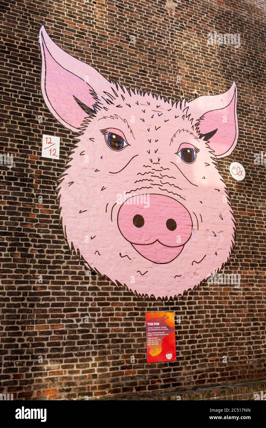 The Year of the Pig, Nelson Street, Chinatown, Liverpool, England, UK Stock Photo