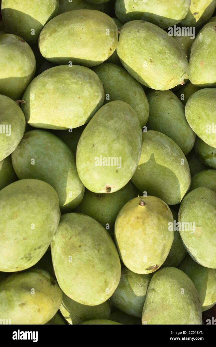 Mangoes for sale at a market place in India Stock Photo Alamy