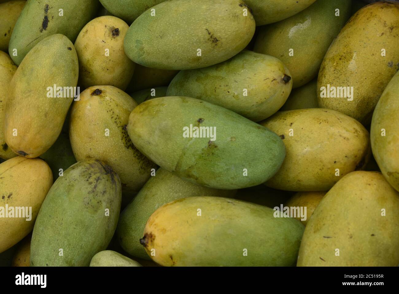 Mangoes for sale at a market place in India Stock Photo Alamy