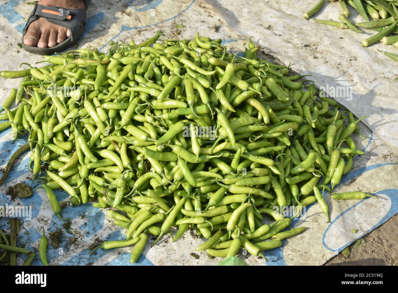 Vegetables on sale in a mrrket at Jammu,India Stock Photo Alamy