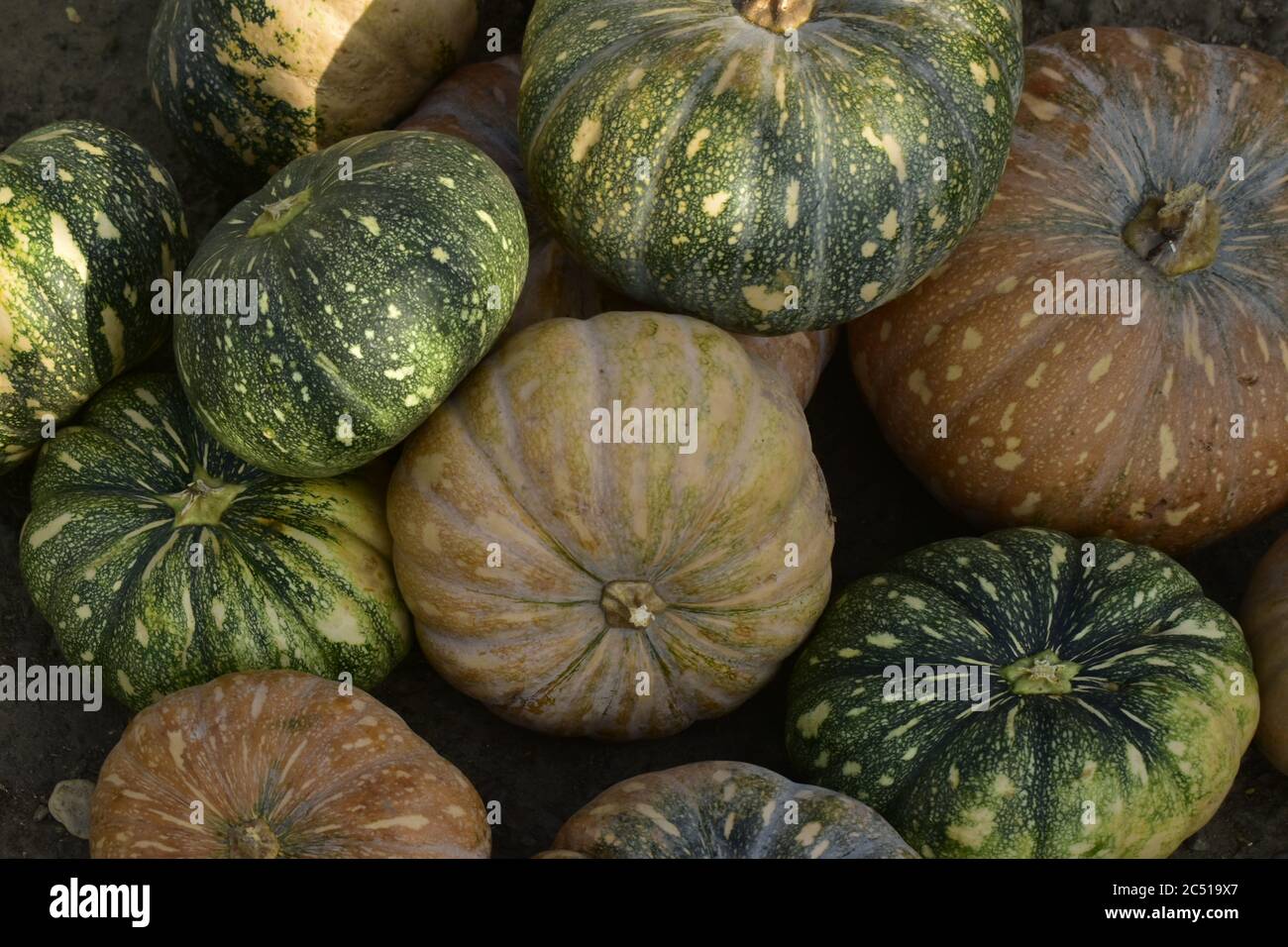 Vegetables on sale in a mrrket at Jammu,India Stock Photo Alamy