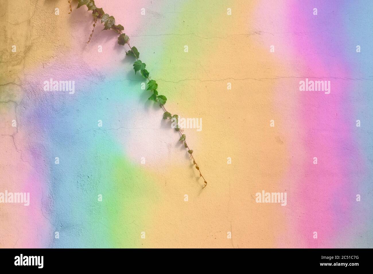 holographic lighting reflected on concrete wall. Stock Photo