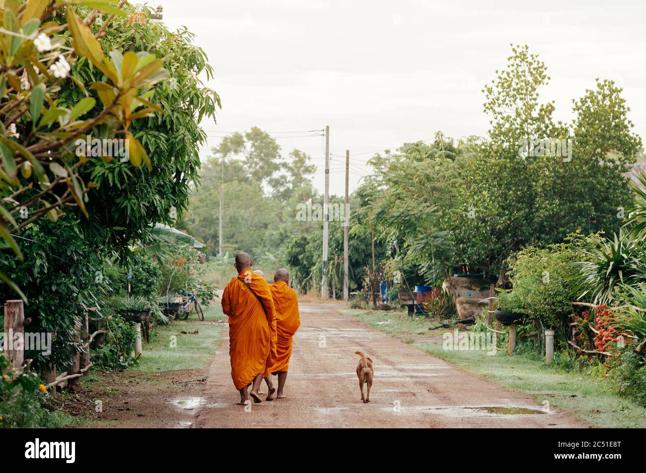 MAY 31, 2018 Sa Kaeo, Thailand - Thai Buddhist Monk walk along peaceful village road for morning alms following by street dog Stock Photo