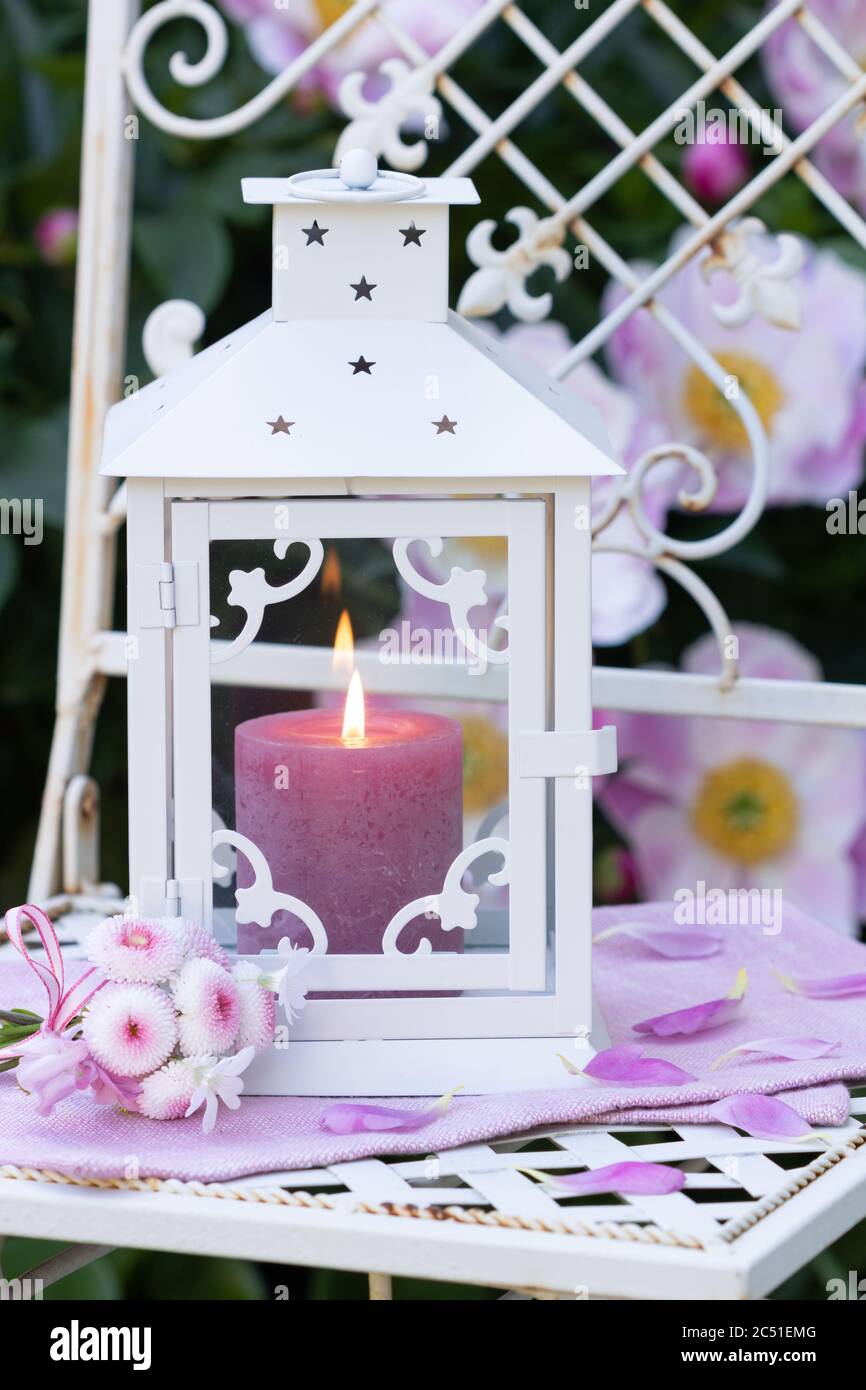 spring garden decoration with white lantern and bouquet of bellis perennis Stock Photo
