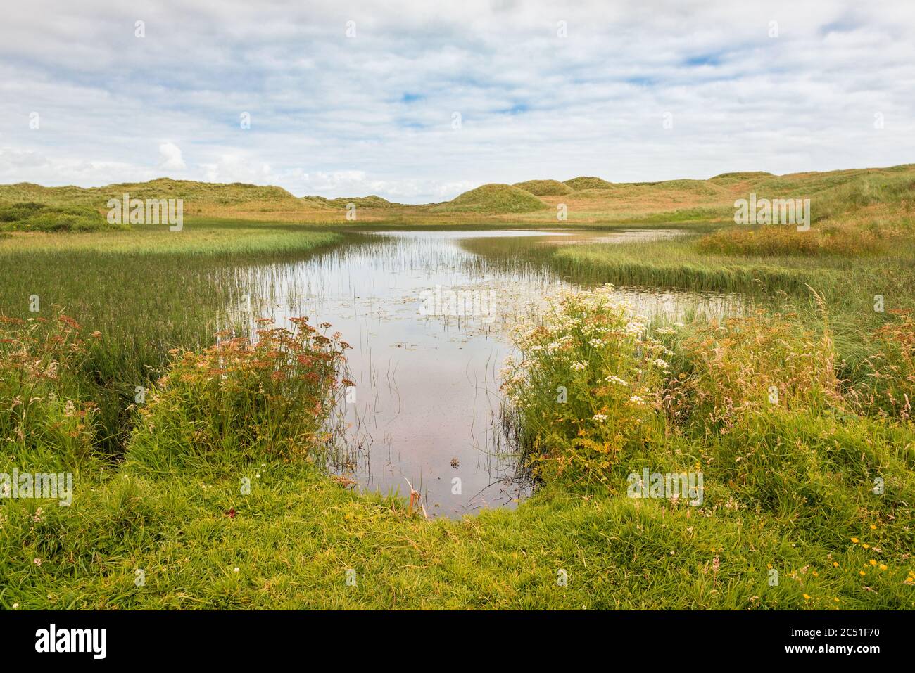 Forvie National Nature Reserve on the Aberdeenshire coast of Northern Scotland Stock Photo