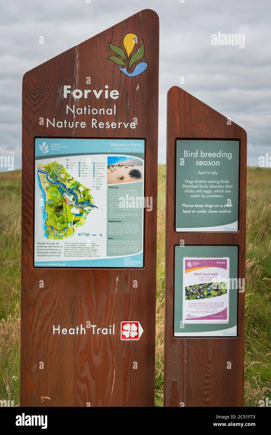 Forvie National Nature Reserve on the Aberdeenshire coast of Northern Scotland Stock Photo