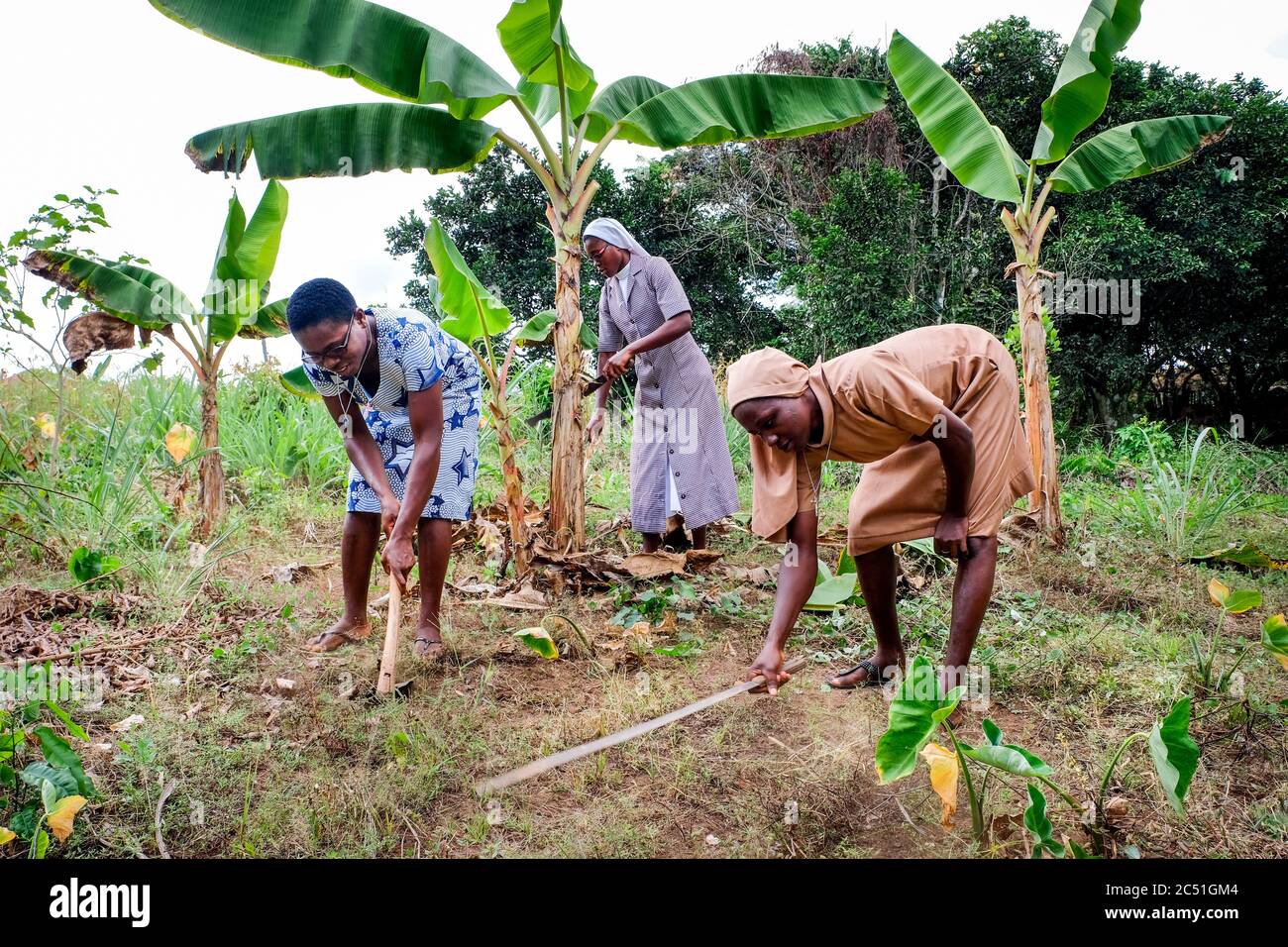 Young candidates of the Order of the 'Handmaids of the Divine Redeemer' (HDR) in their gardening and farm work in the Catholic Novitiate Koforidoa, Ghana, Africa Stock Photo