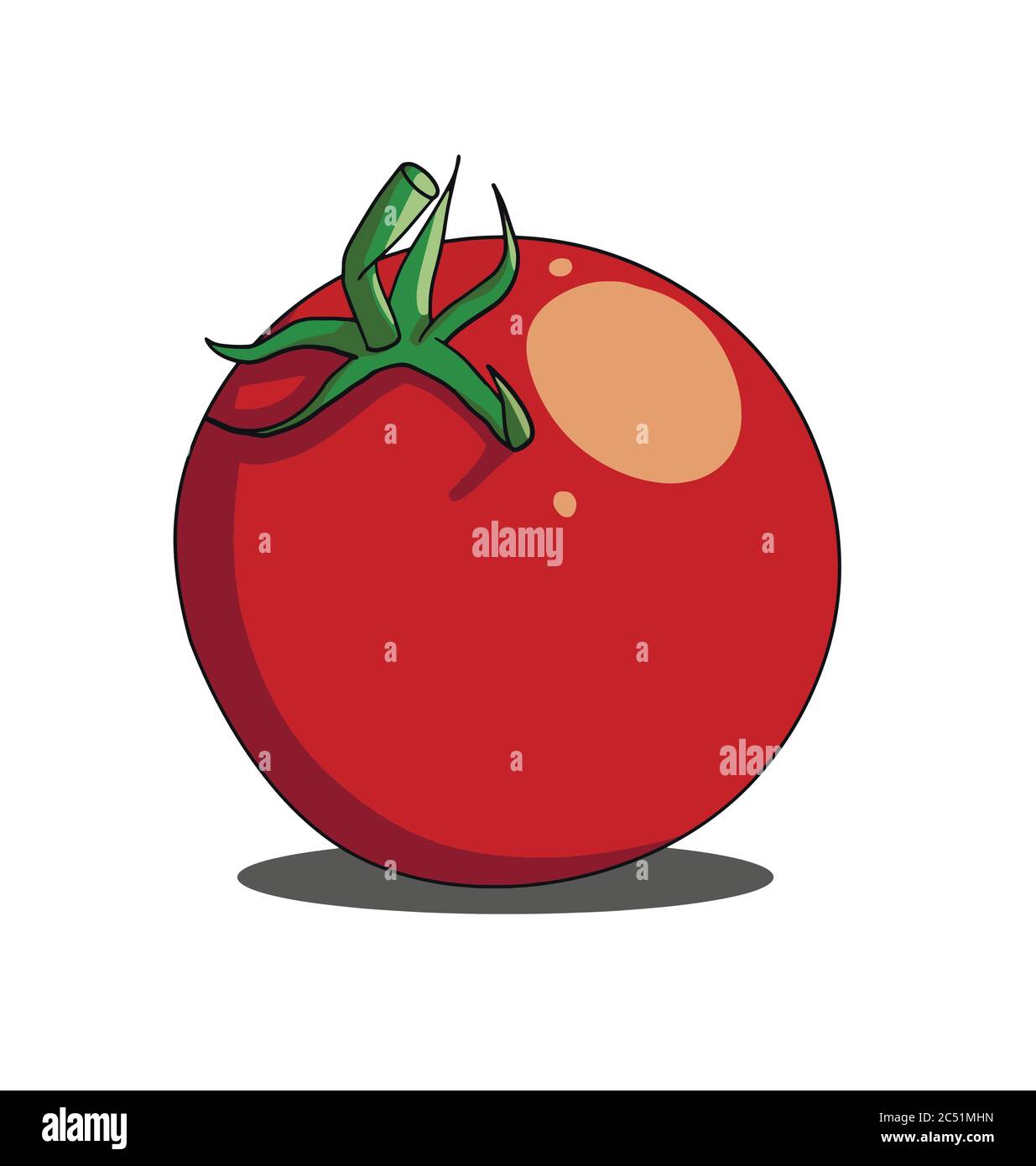 Red single tomato isolated on white background Stock Vector