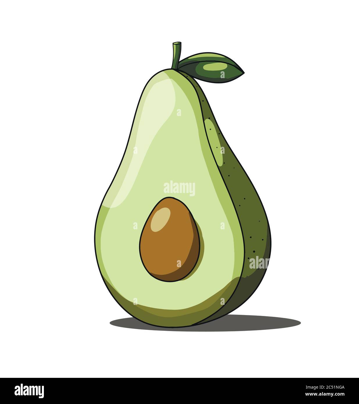 Single green avocado isolated on white background Stock Vector