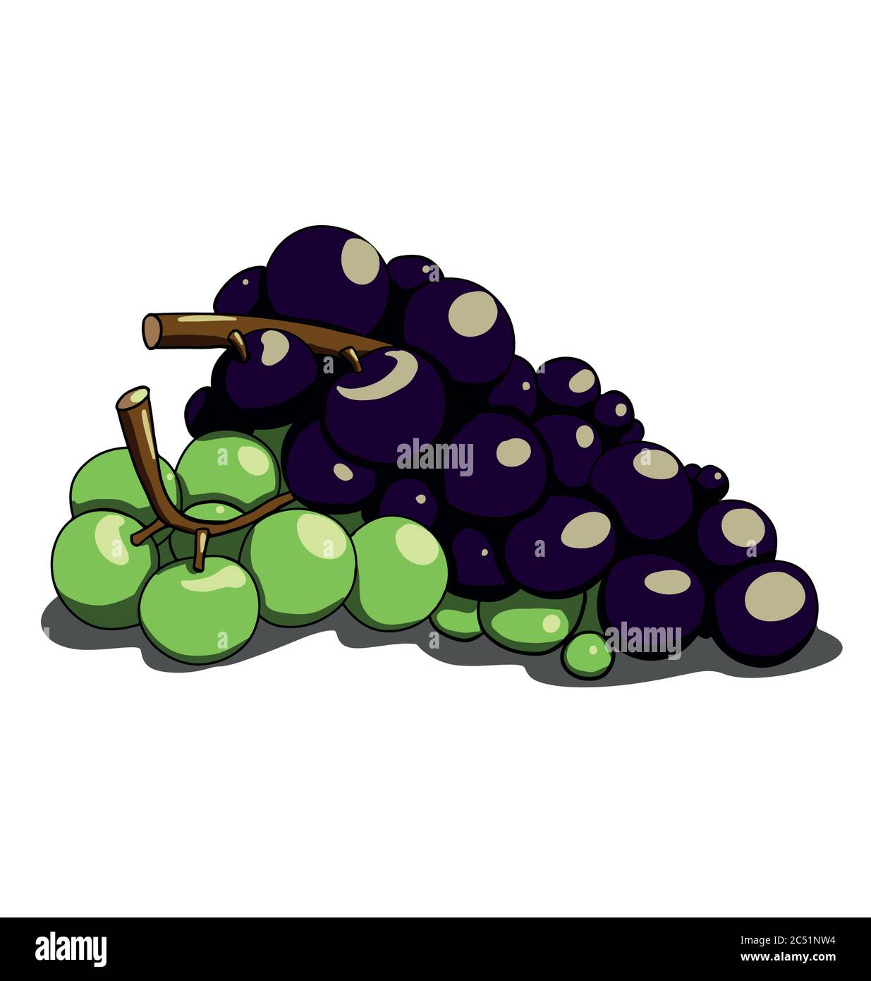 Colorful grapes on white bakcground Stock Vector