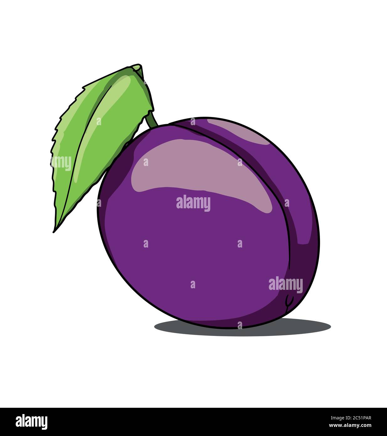 Isolated plum on white background Stock Vector