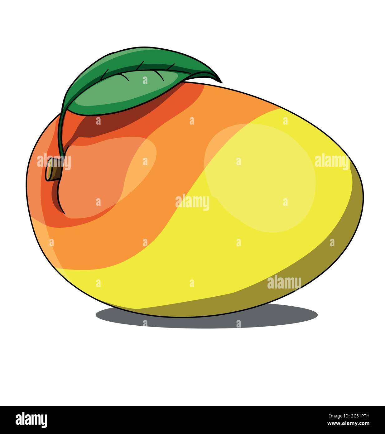 Isolated mango on white background Stock Vector