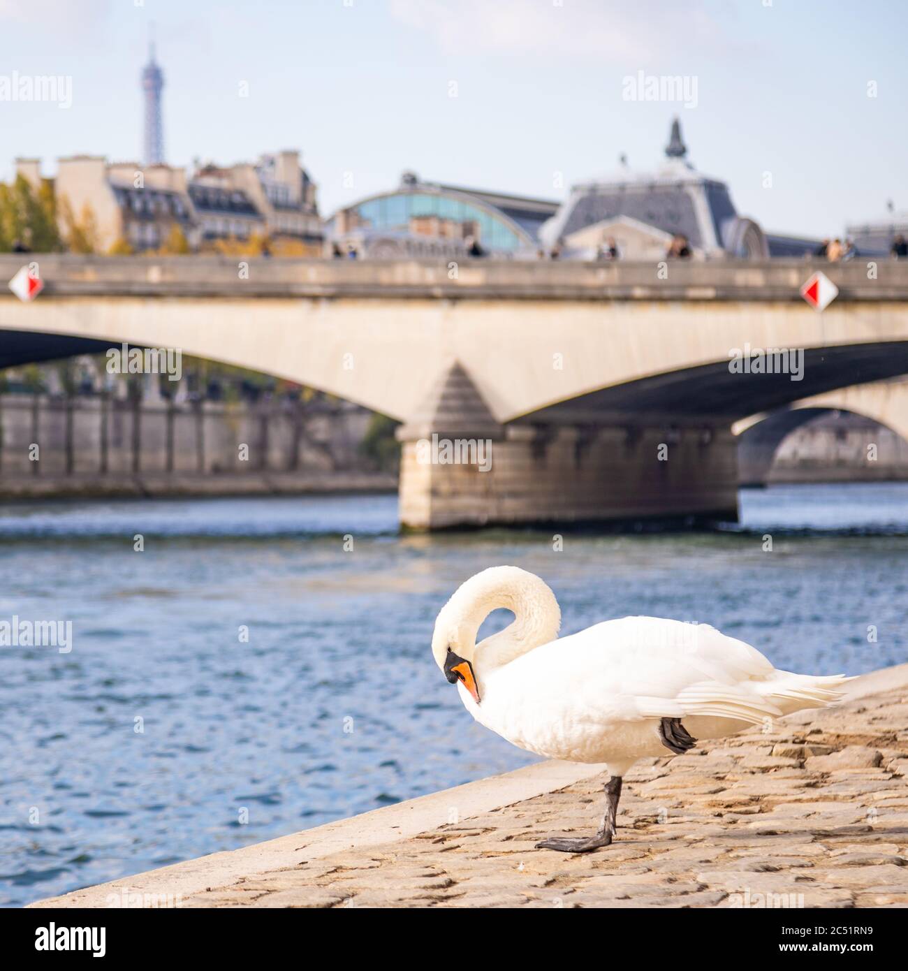 Cygnet river bridge hi-res stock photography and images - Alamy
