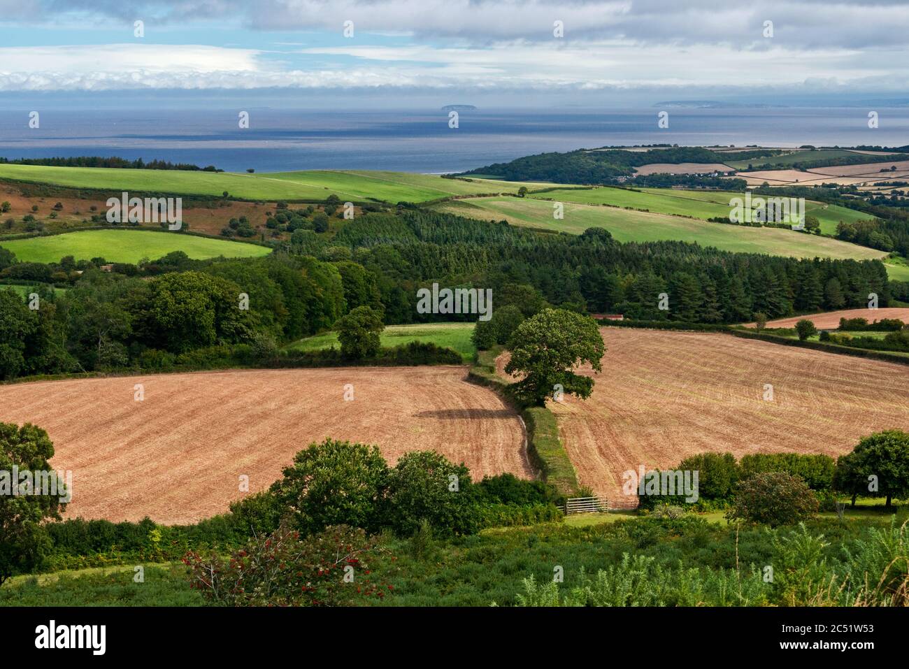 A view out over Rodhuish Common near Withycombe in the Exmoor National Park, Somerset, England, UK looking north eastwards towards the Bristol Channel Stock Photo