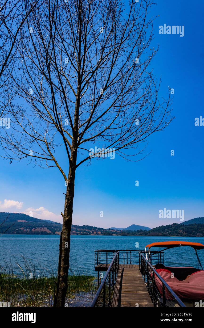 Wooden dock with metal railings by the sea during daytime Stock Photo