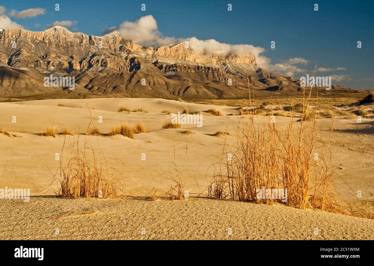 Salt Basin Dunes in front of western escarpment of snowcapped Guadalupe