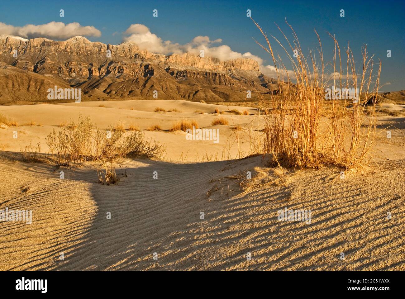 Salt Basin Dunes in front of western escarpment of Guadalupe Mountains