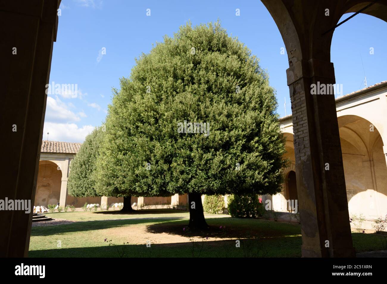Auf einem Hügel nahe Siena befindet sich die Certosa di Pontignano, ein ehemalige Kloster, heute als Gästehaus der Universität Siena. Auch als Tourist Stock Photo