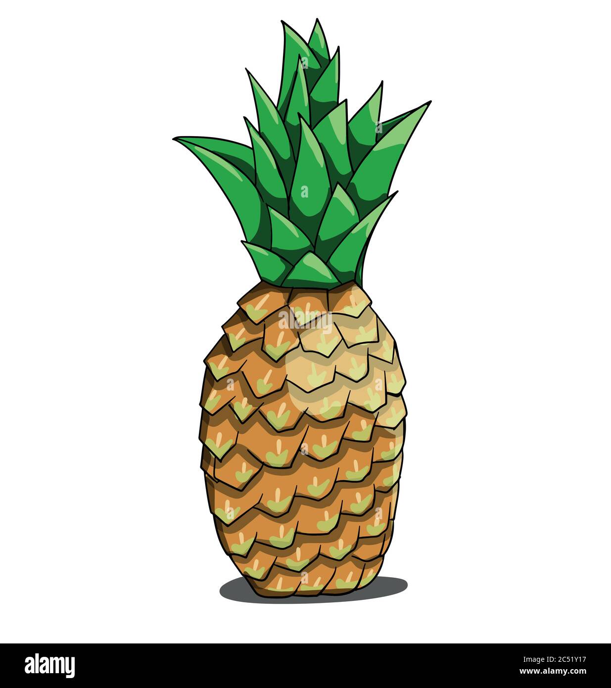 Isolated pineapple on white background Stock Vector Image & Art - Alamy