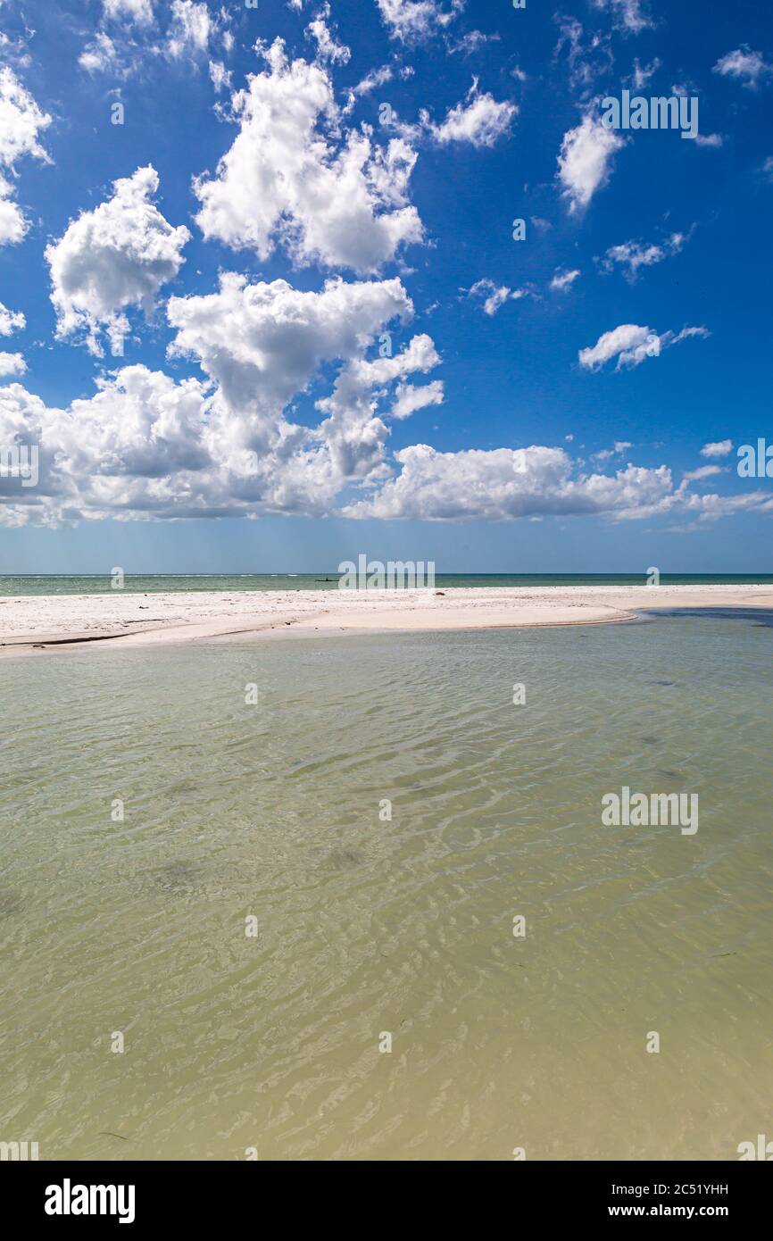 The beach at Honeymoon Island, near Tampa Stock Photo Alamy