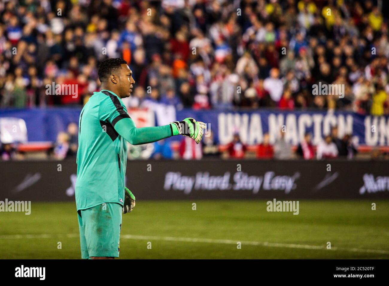 EAST HARTFORD, CT - OCTOBER 10:  Maximo Banguera of Ecuador reacts after a save against the United States during an international friendly at Rentschl Stock Photo