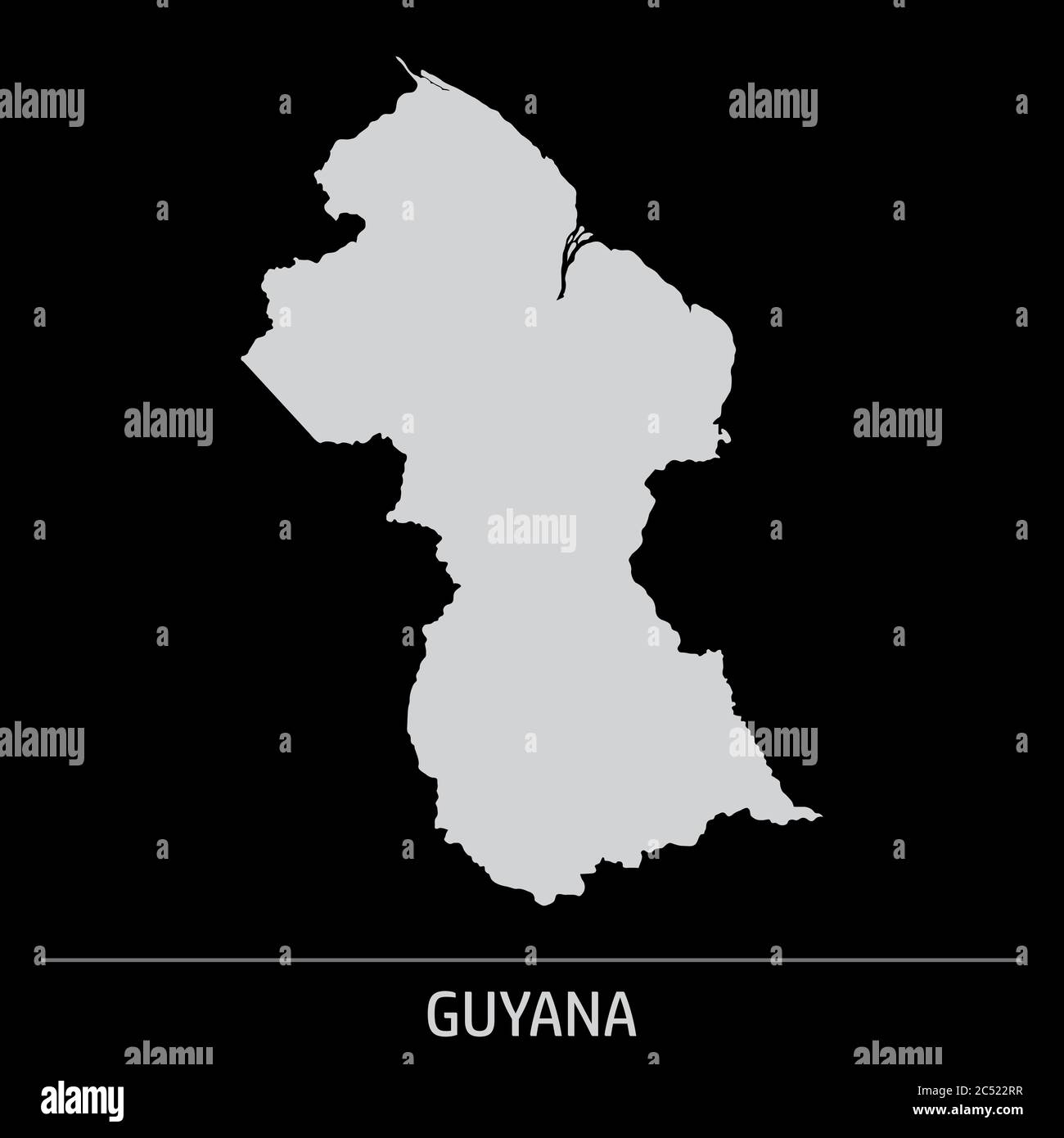 Guyana map icon Stock Vector