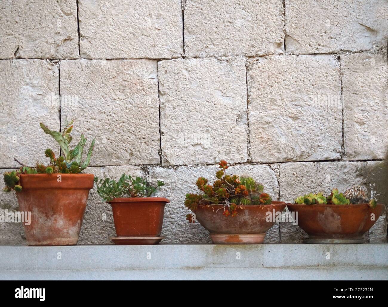 Flower pots background Stock Photo - Alamy