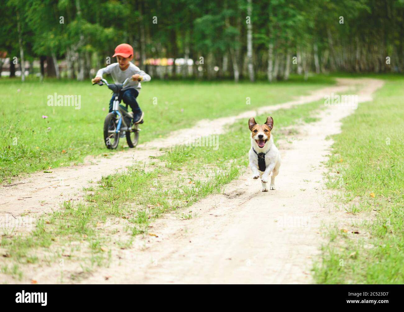Dog and kid boy on bike racing on dirt country road on sunny summer day Stock Photo